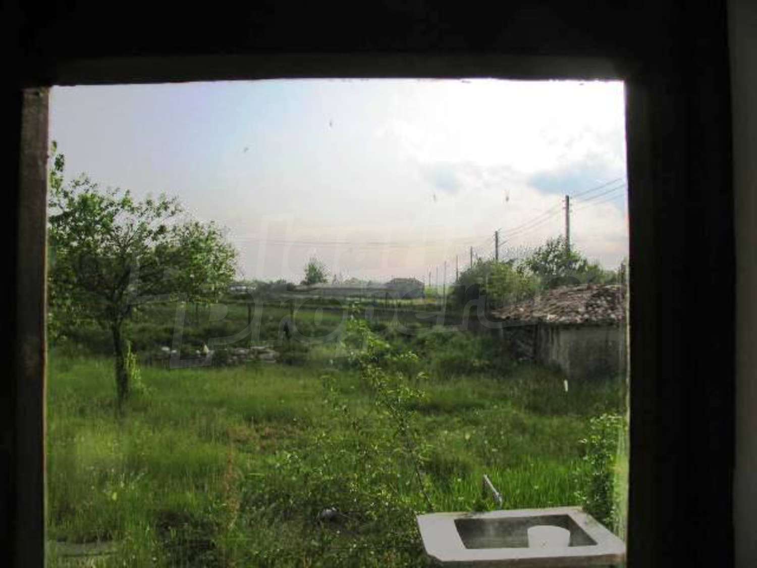 Gallery Picture 35