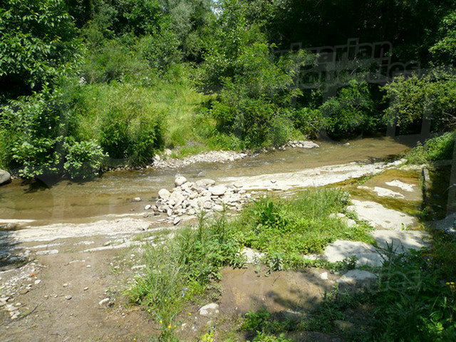 Gallery Picture 14