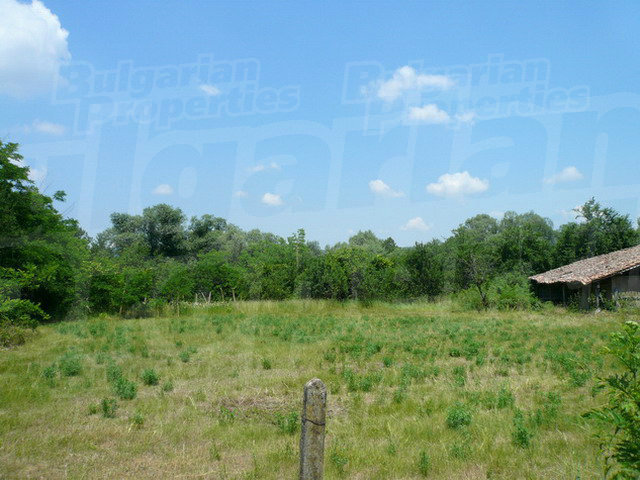 Gallery Picture 6