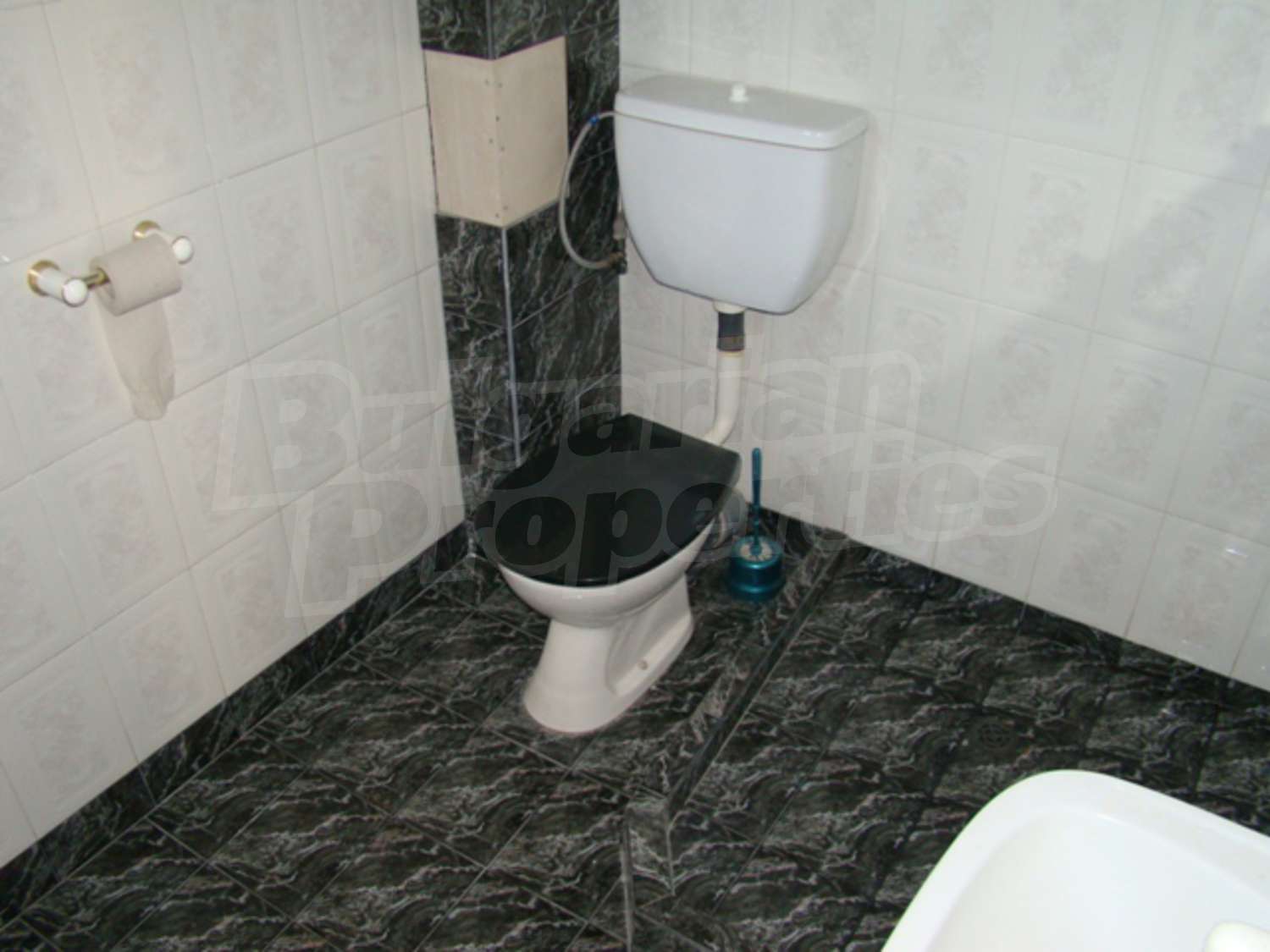Gallery Picture 31