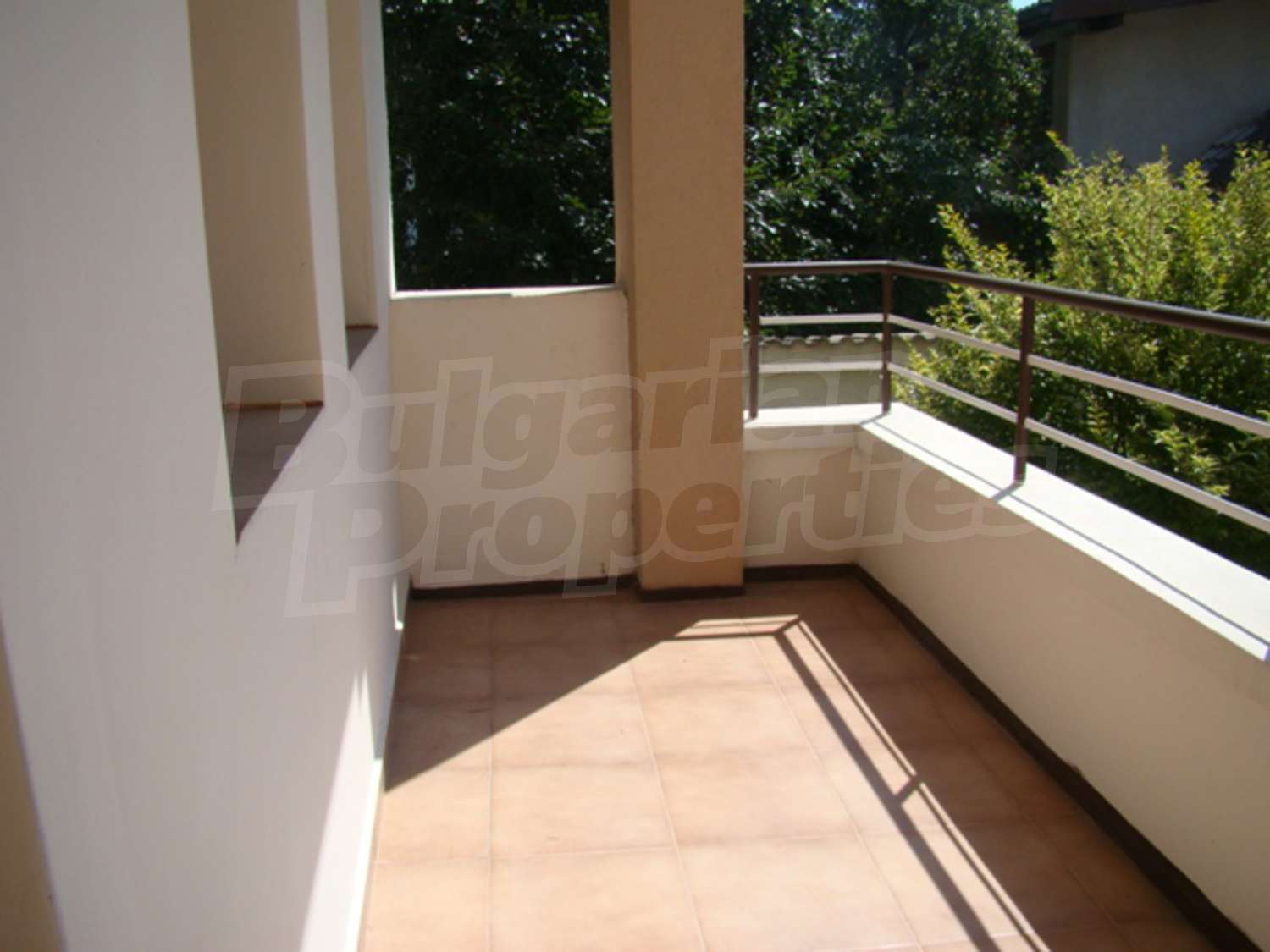 Gallery Picture 38
