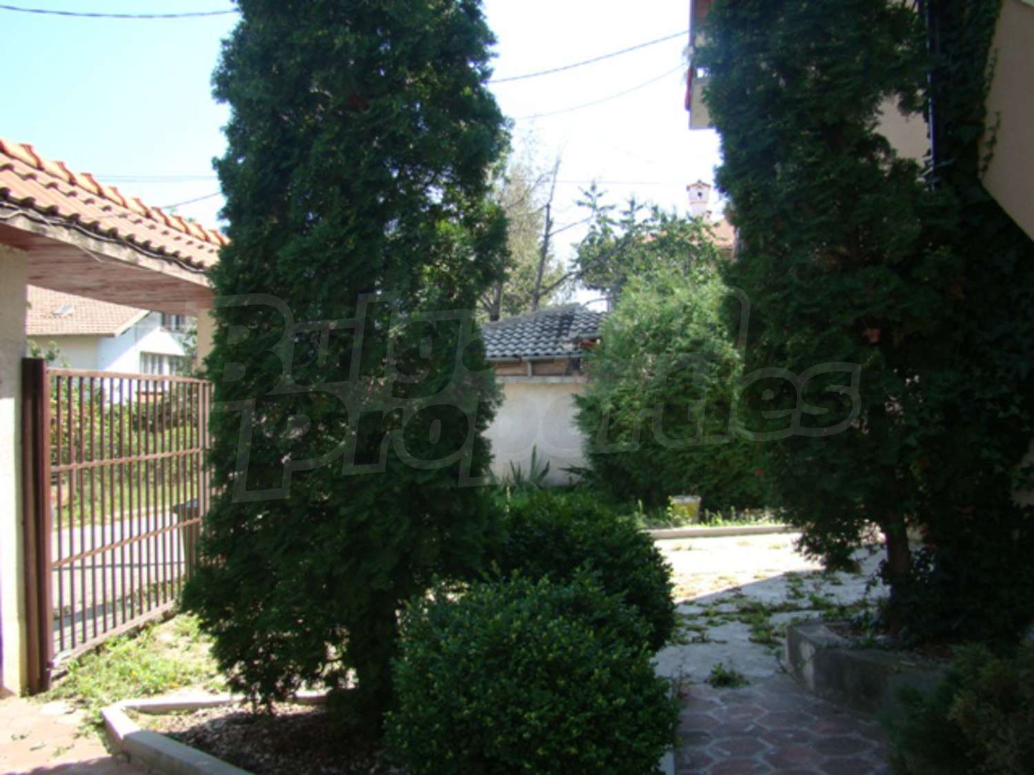 Gallery Picture 50