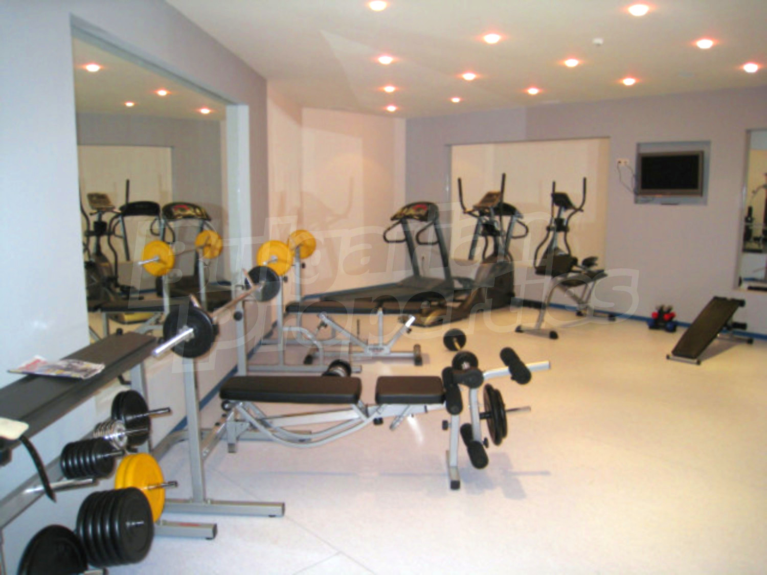 Gallery Picture 25