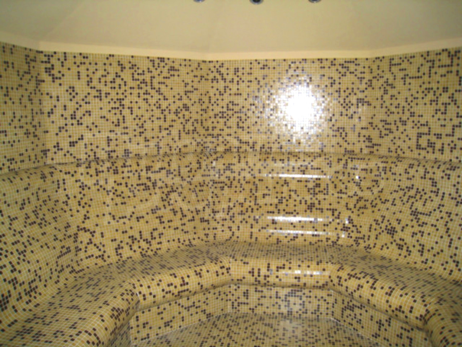 Gallery Picture 27