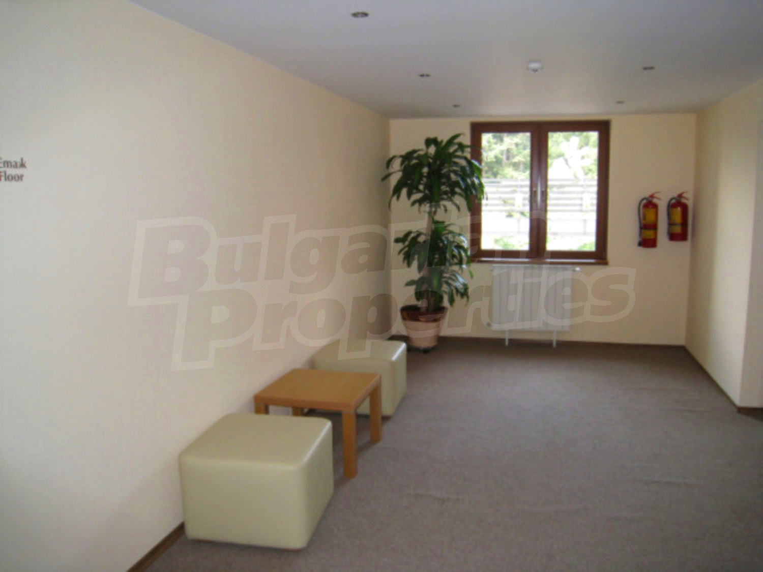 Gallery Picture 31