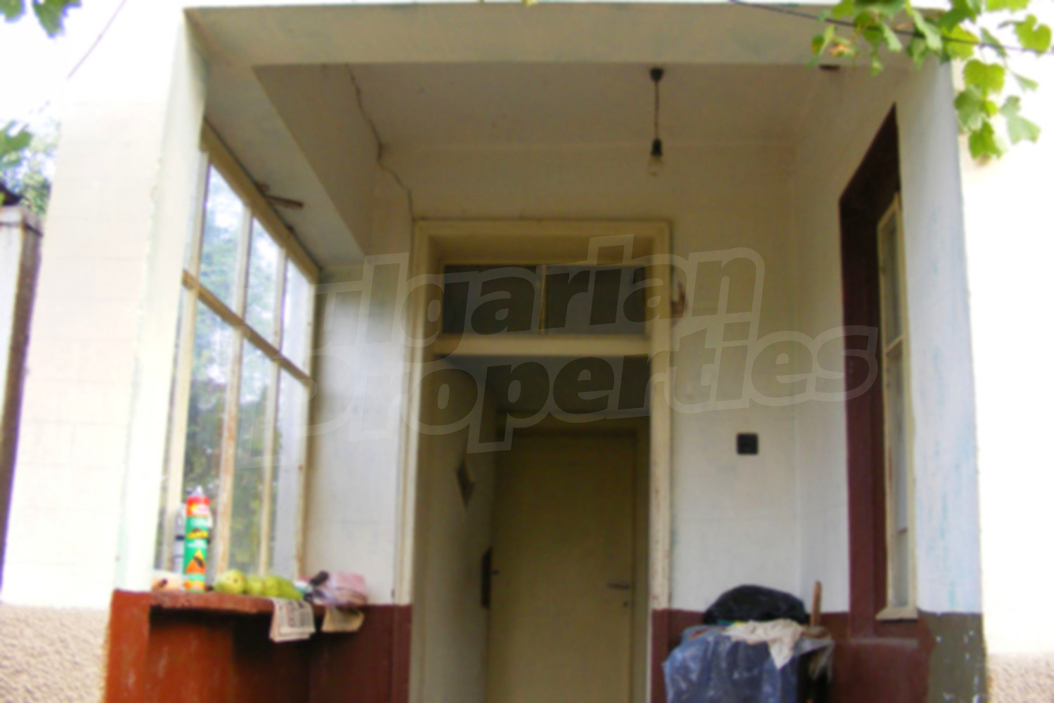 Gallery Picture 10
