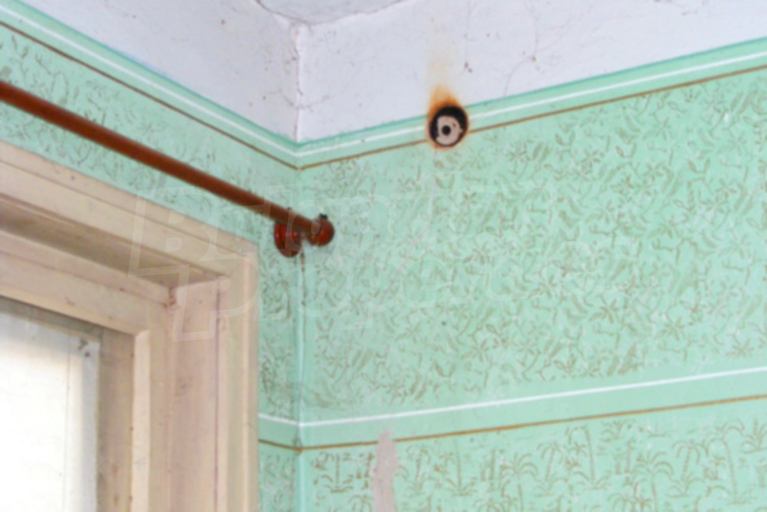 Gallery Picture 16