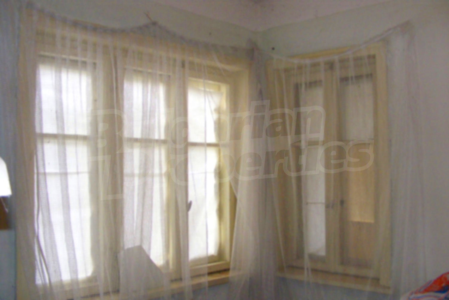 Gallery Picture 17