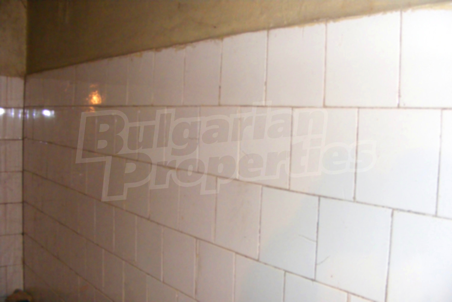 Gallery Picture 8