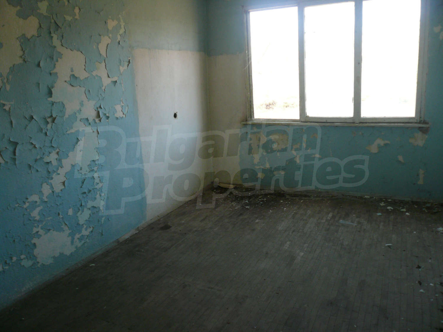 Gallery Picture 11