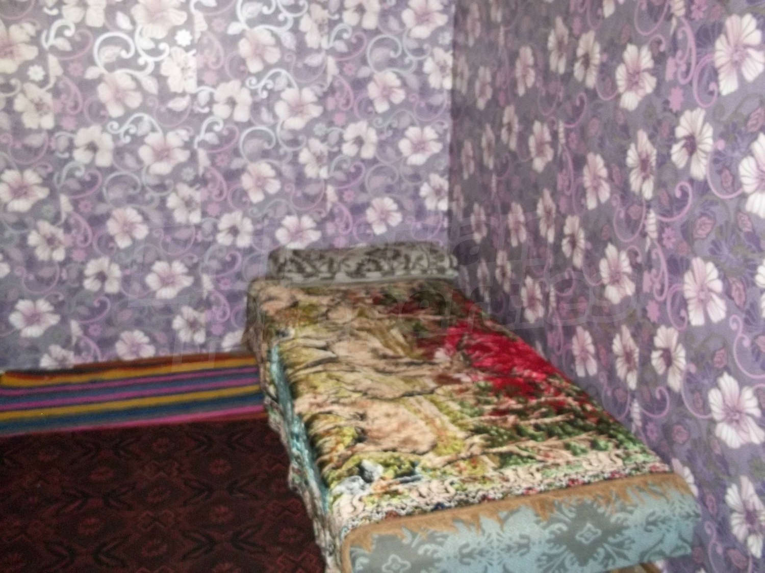 Gallery Picture 12