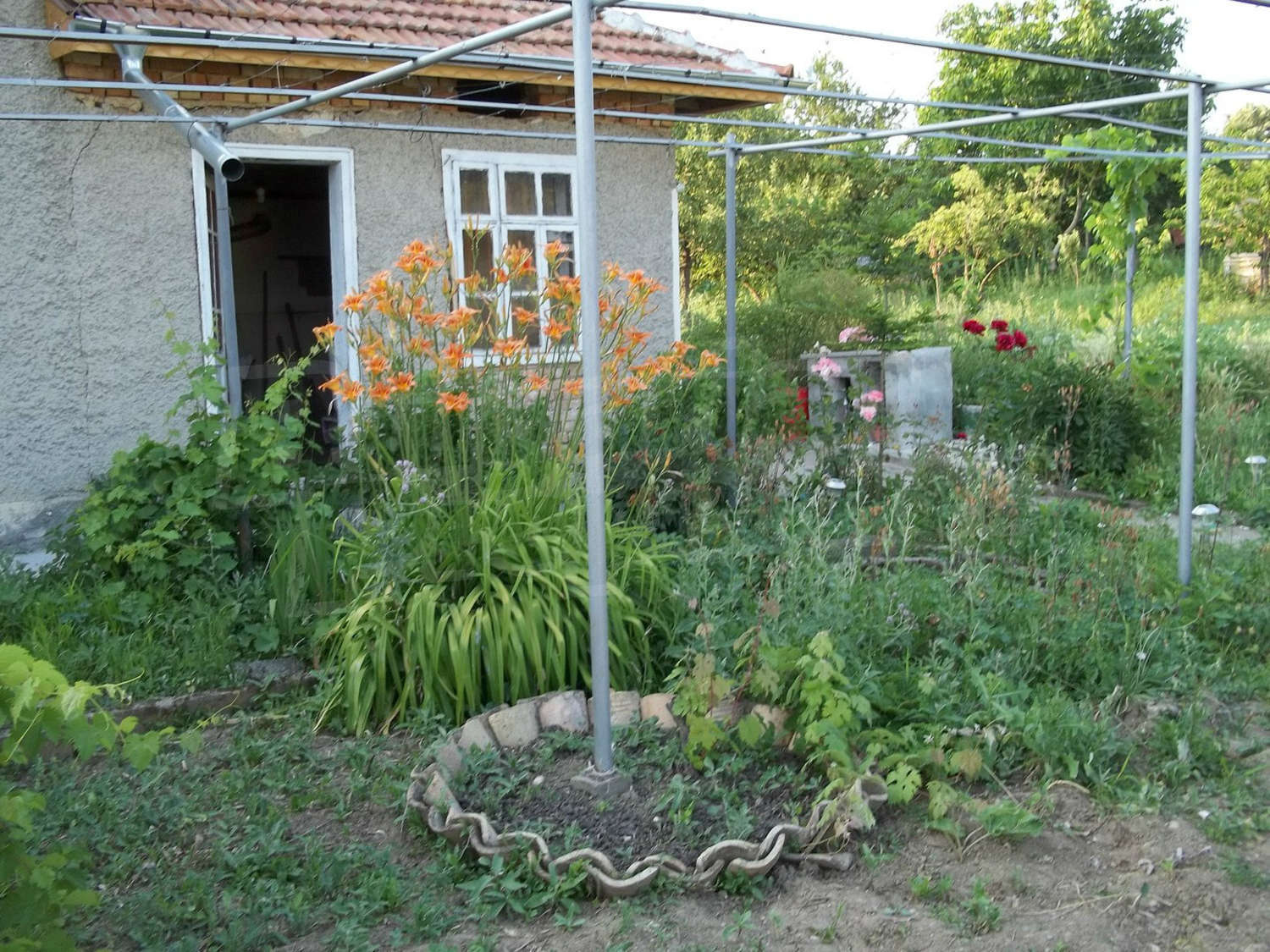 Gallery Picture 7