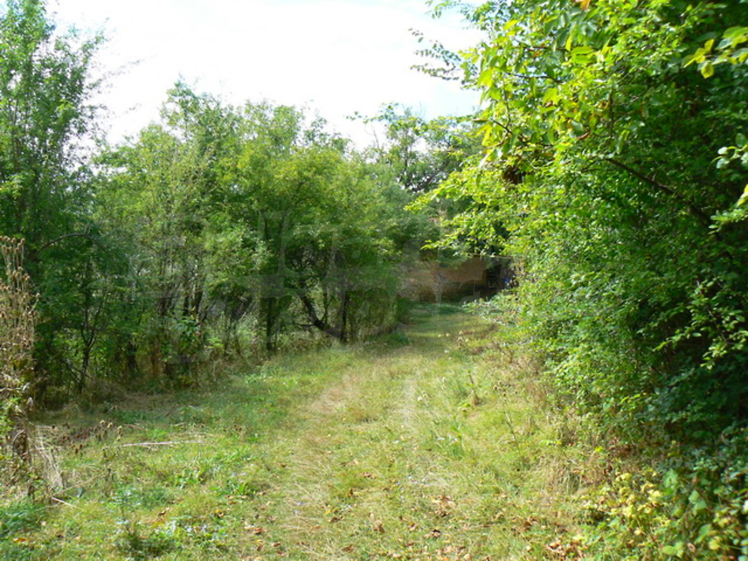 Gallery Picture 4