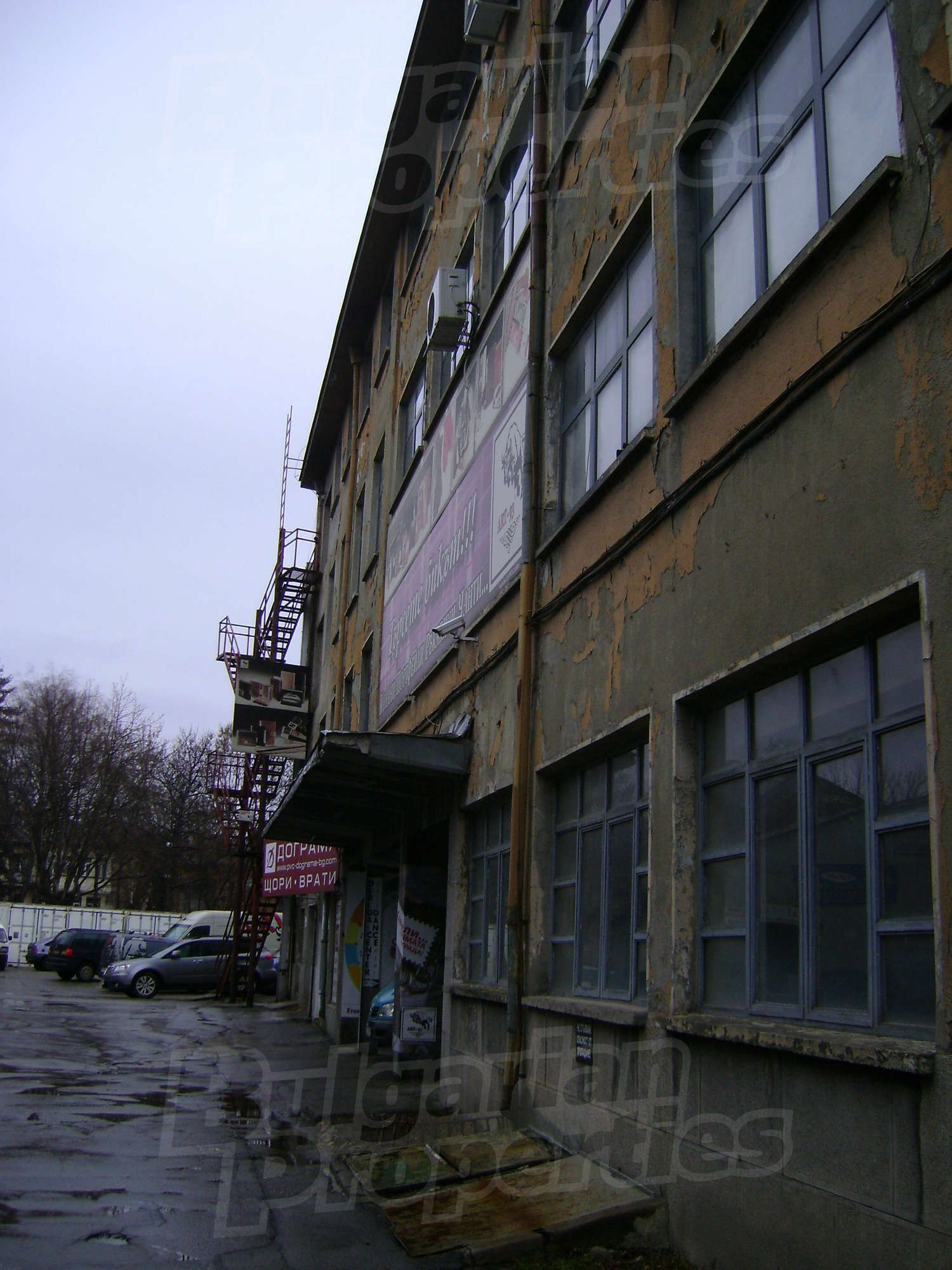 Gallery Picture 11