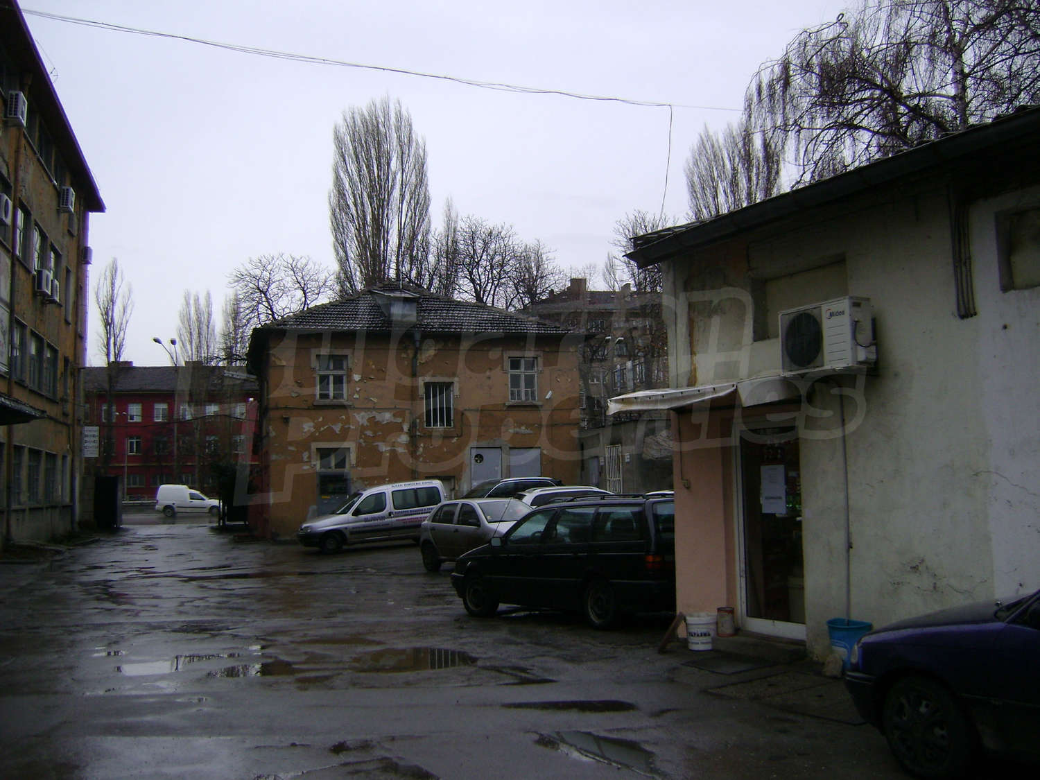Gallery Picture 17