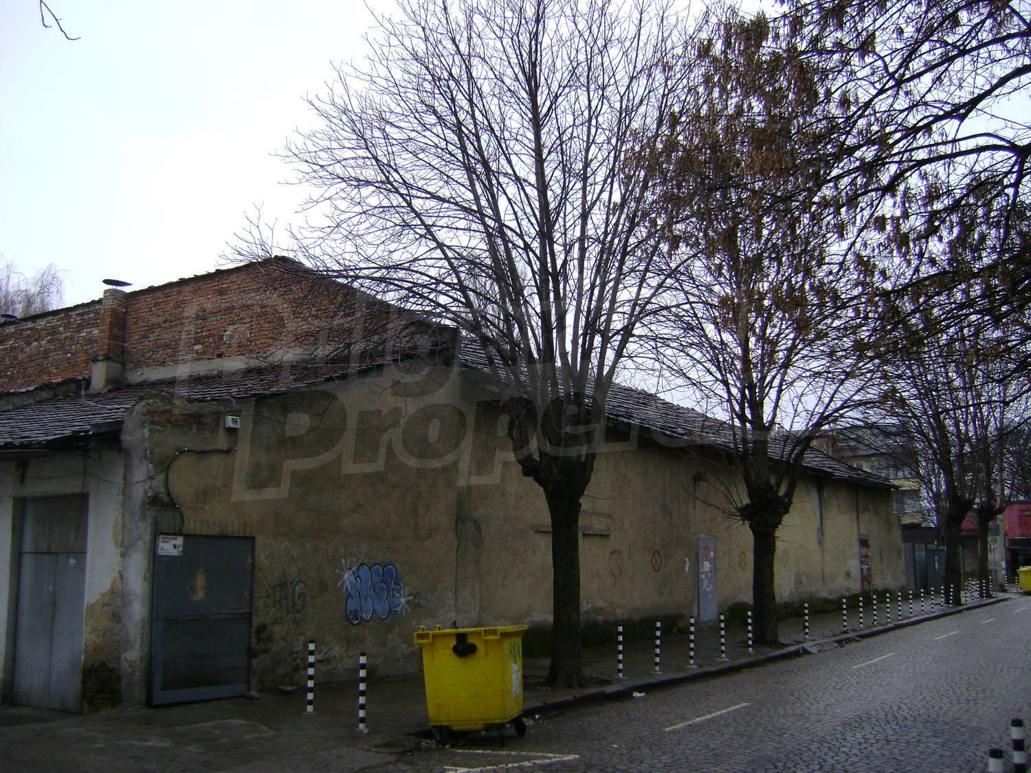 Gallery Picture 19