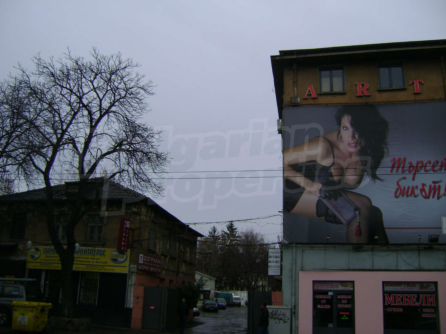 Gallery Picture 6