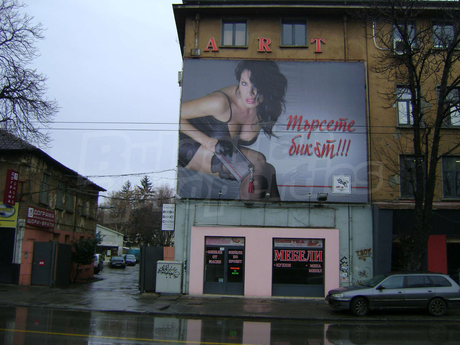 Gallery Picture 7