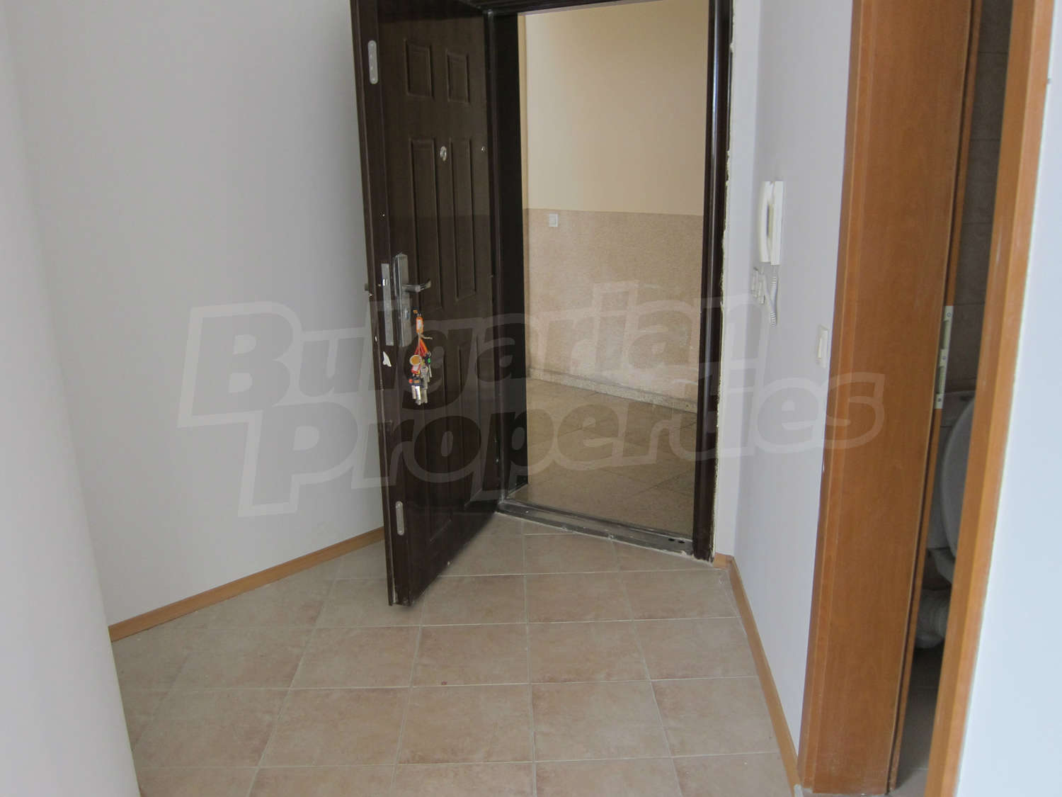 Gallery Picture 17