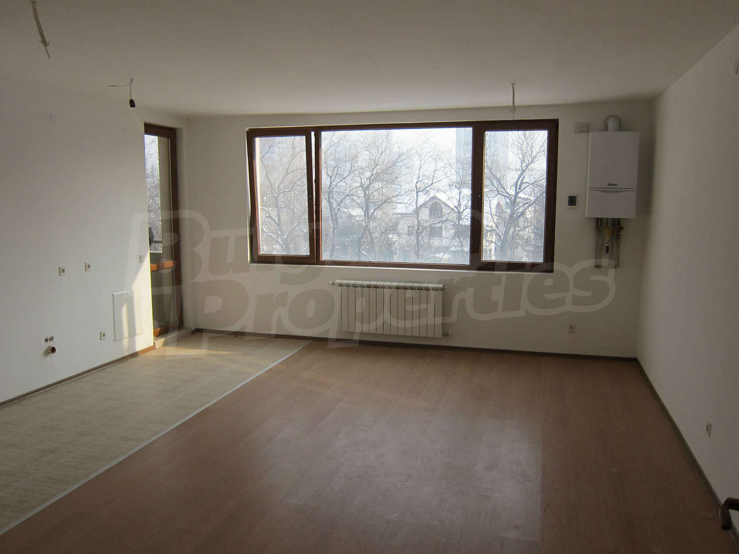 Gallery Picture 38