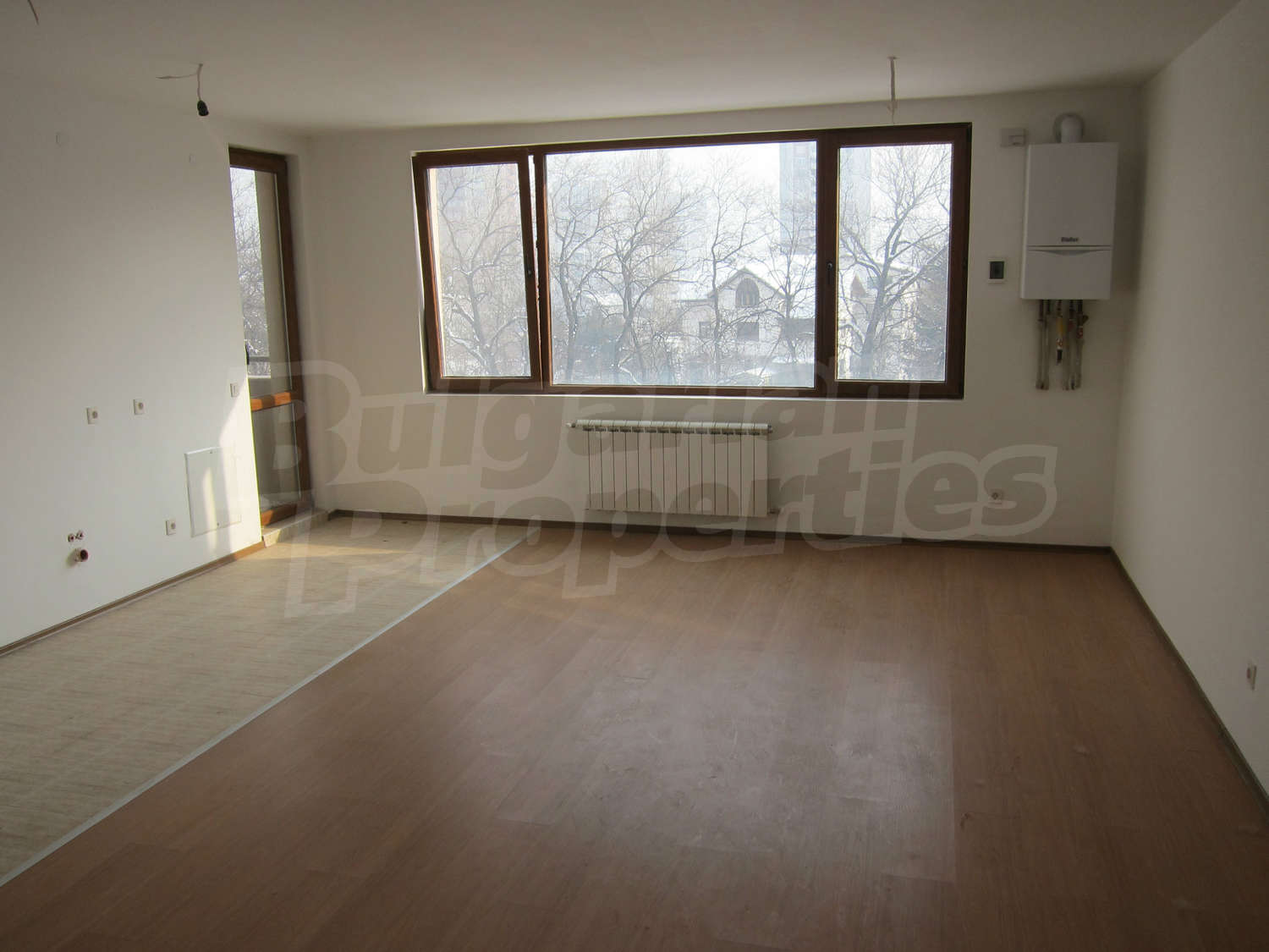 Gallery Picture 39
