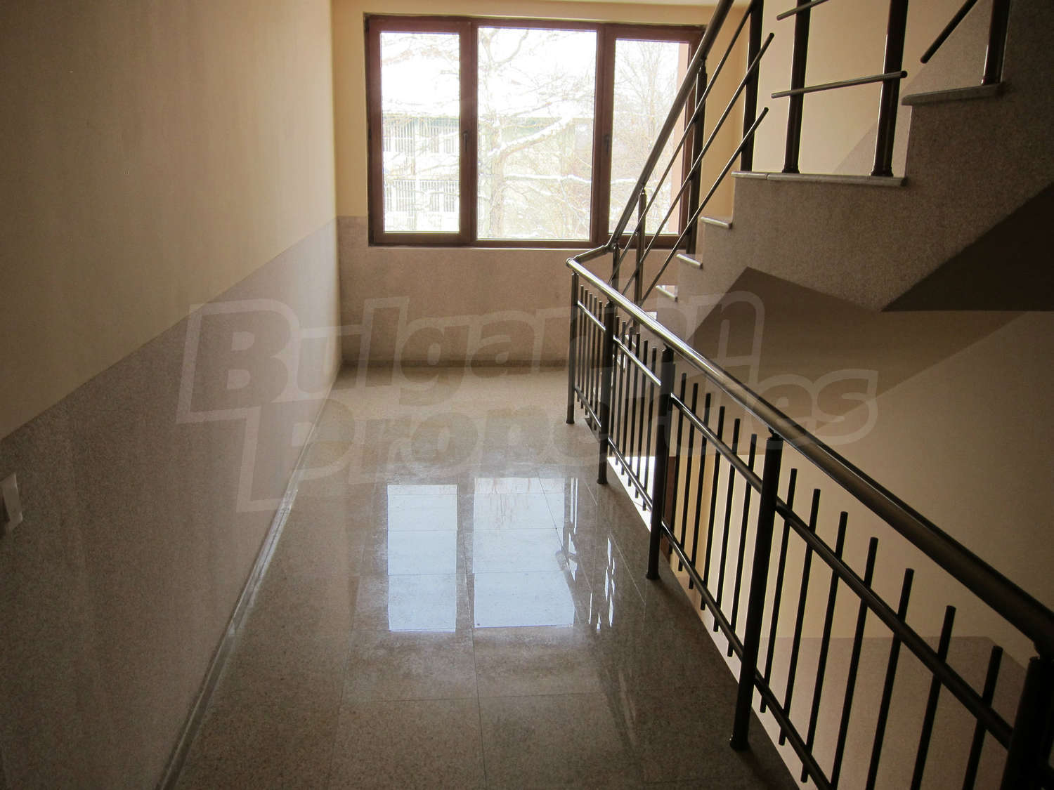 Gallery Picture 45