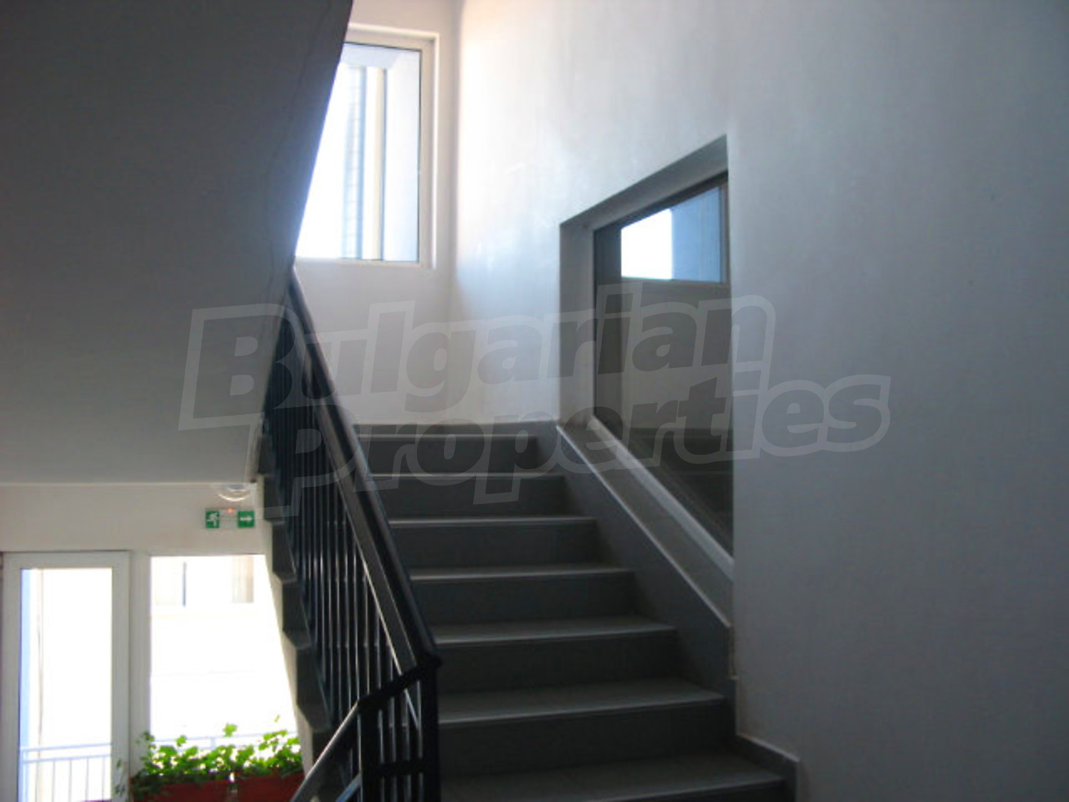 Gallery Picture 4