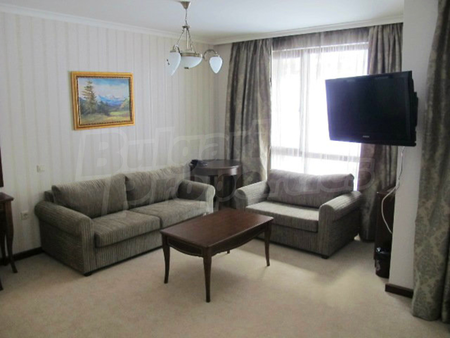 Gallery Picture 28