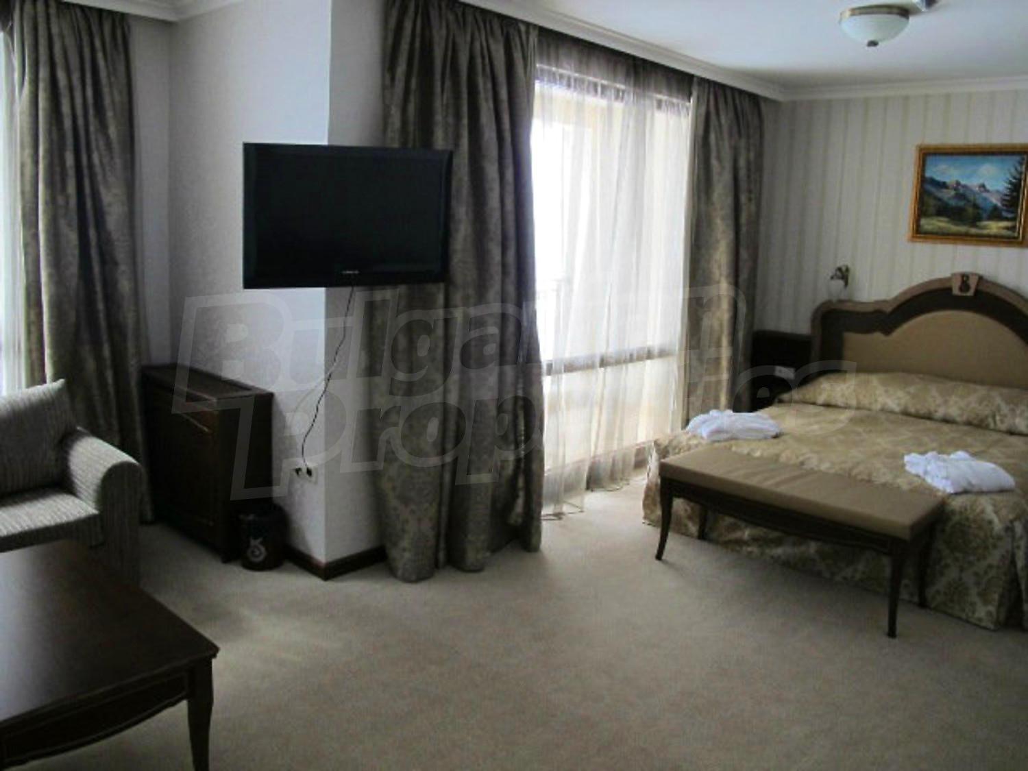 Gallery Picture 29