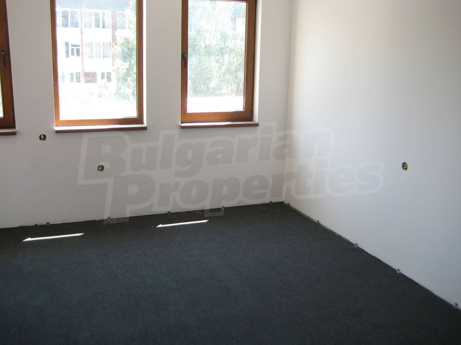 Gallery Picture 7