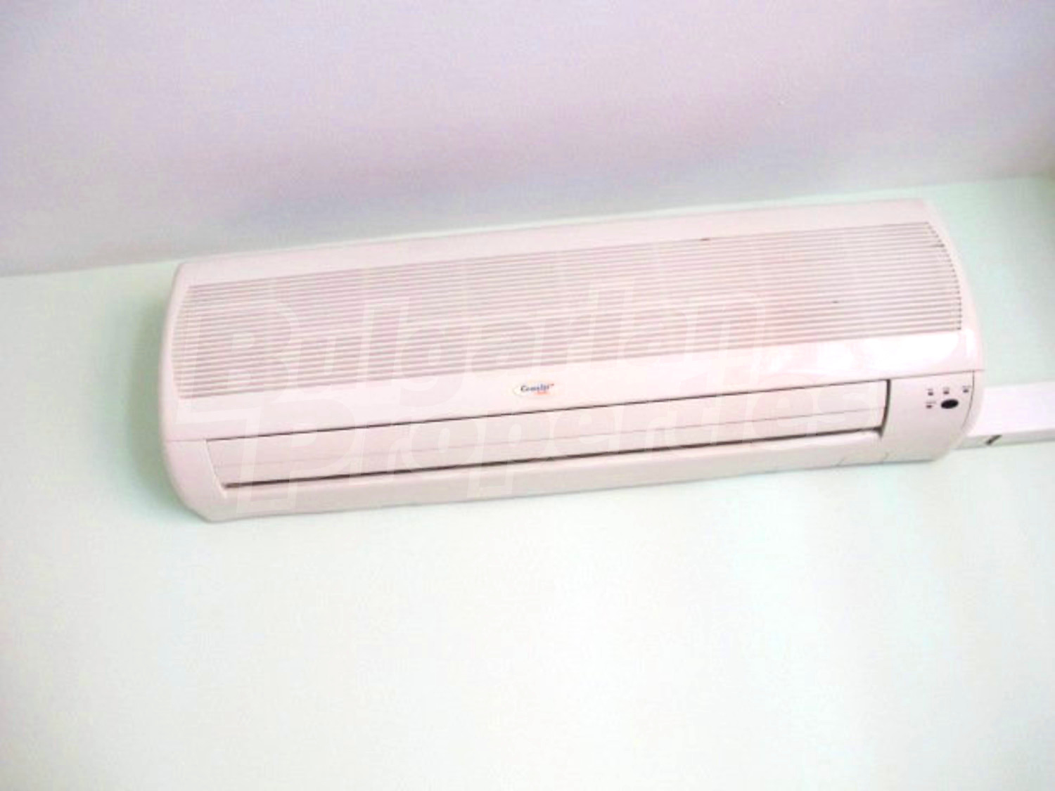 Gallery Picture 19