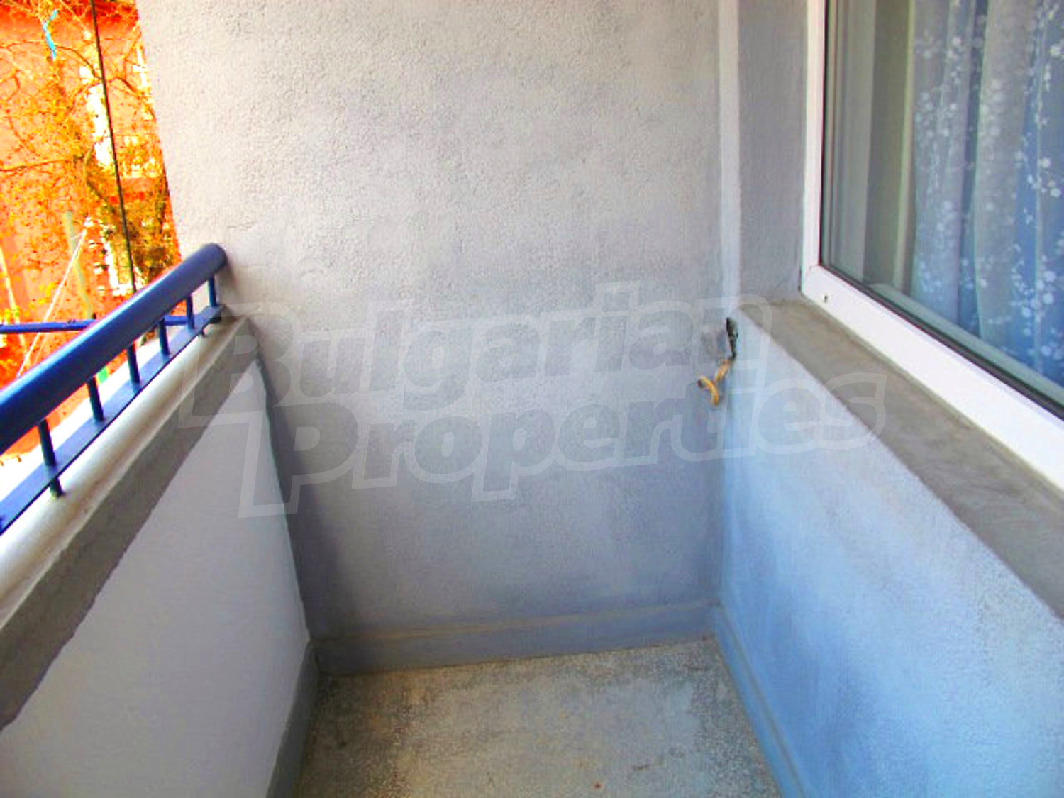 Gallery Picture 22