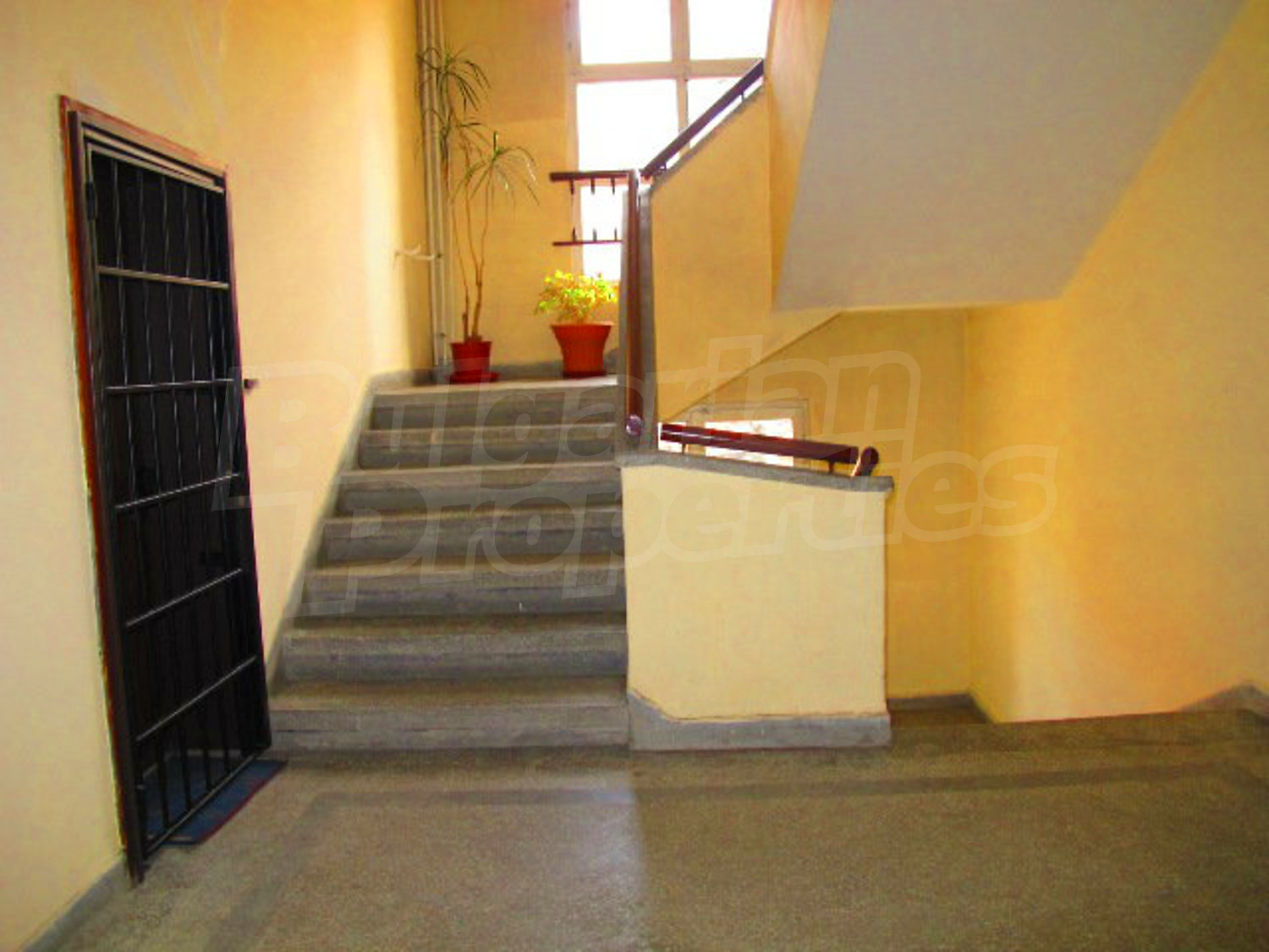 Gallery Picture 36