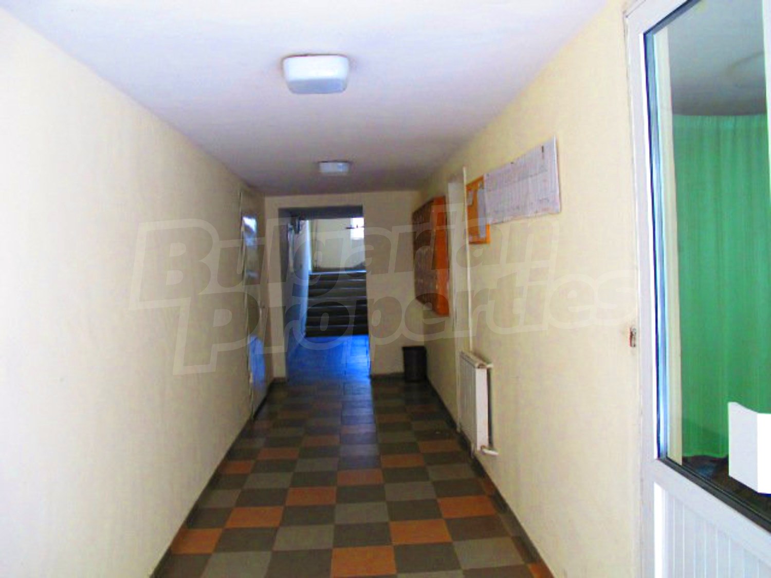 Gallery Picture 37