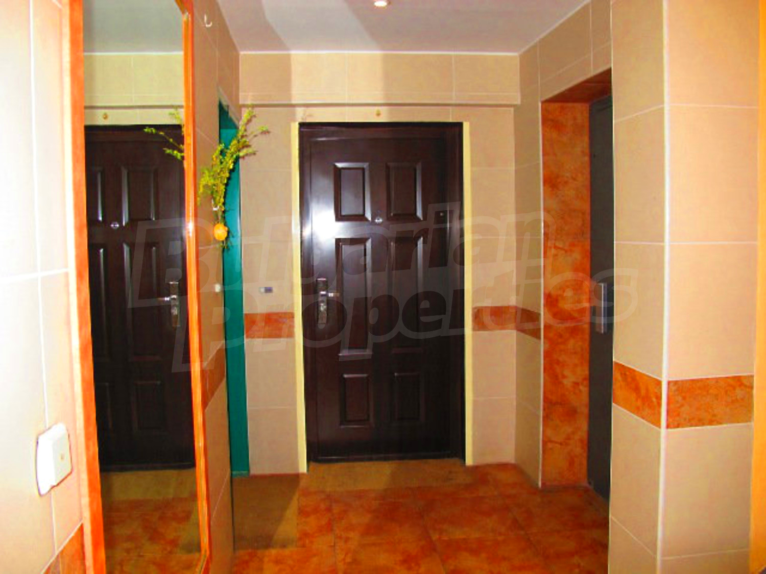 Gallery Picture 54