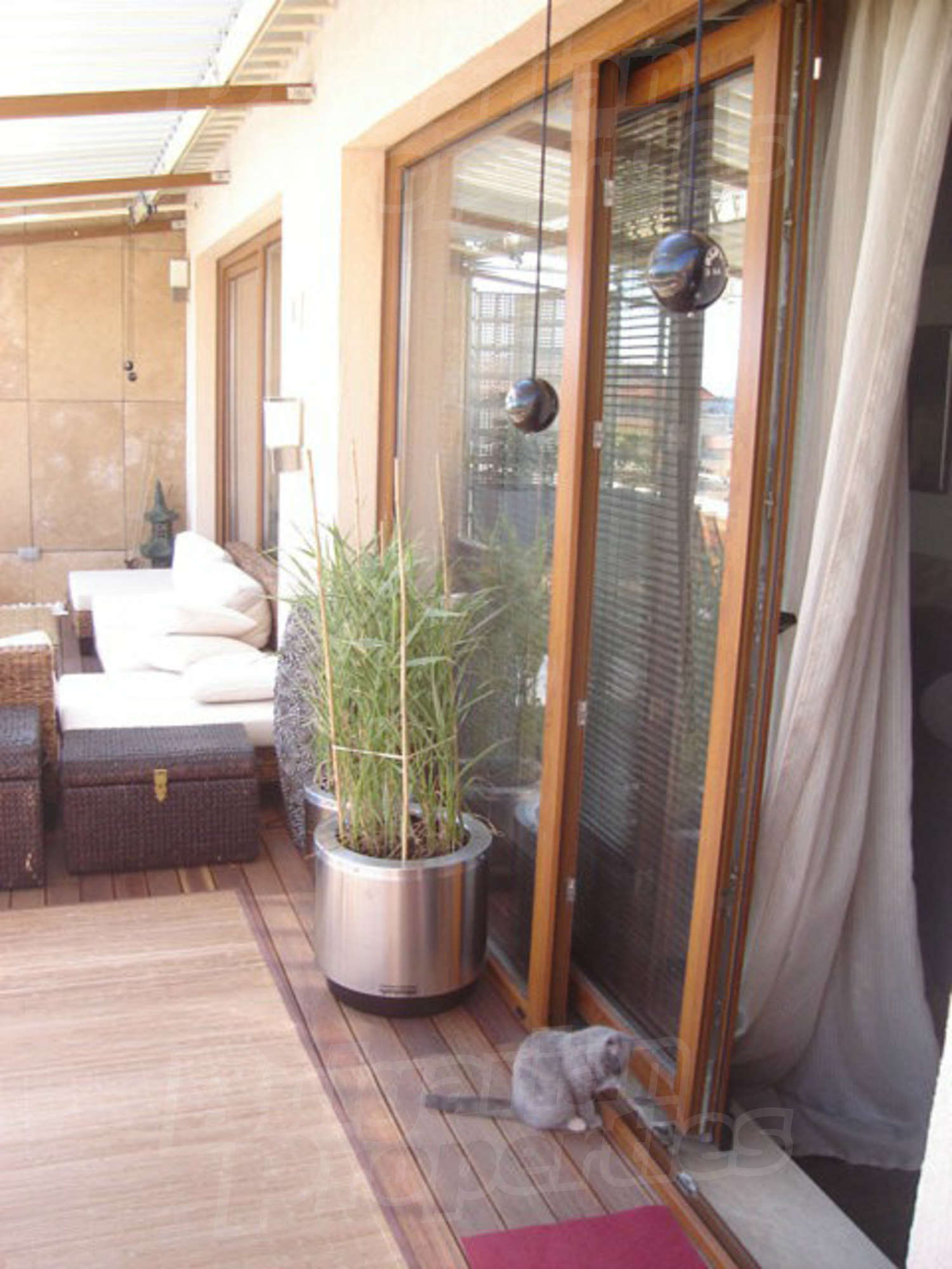 Gallery Picture 37