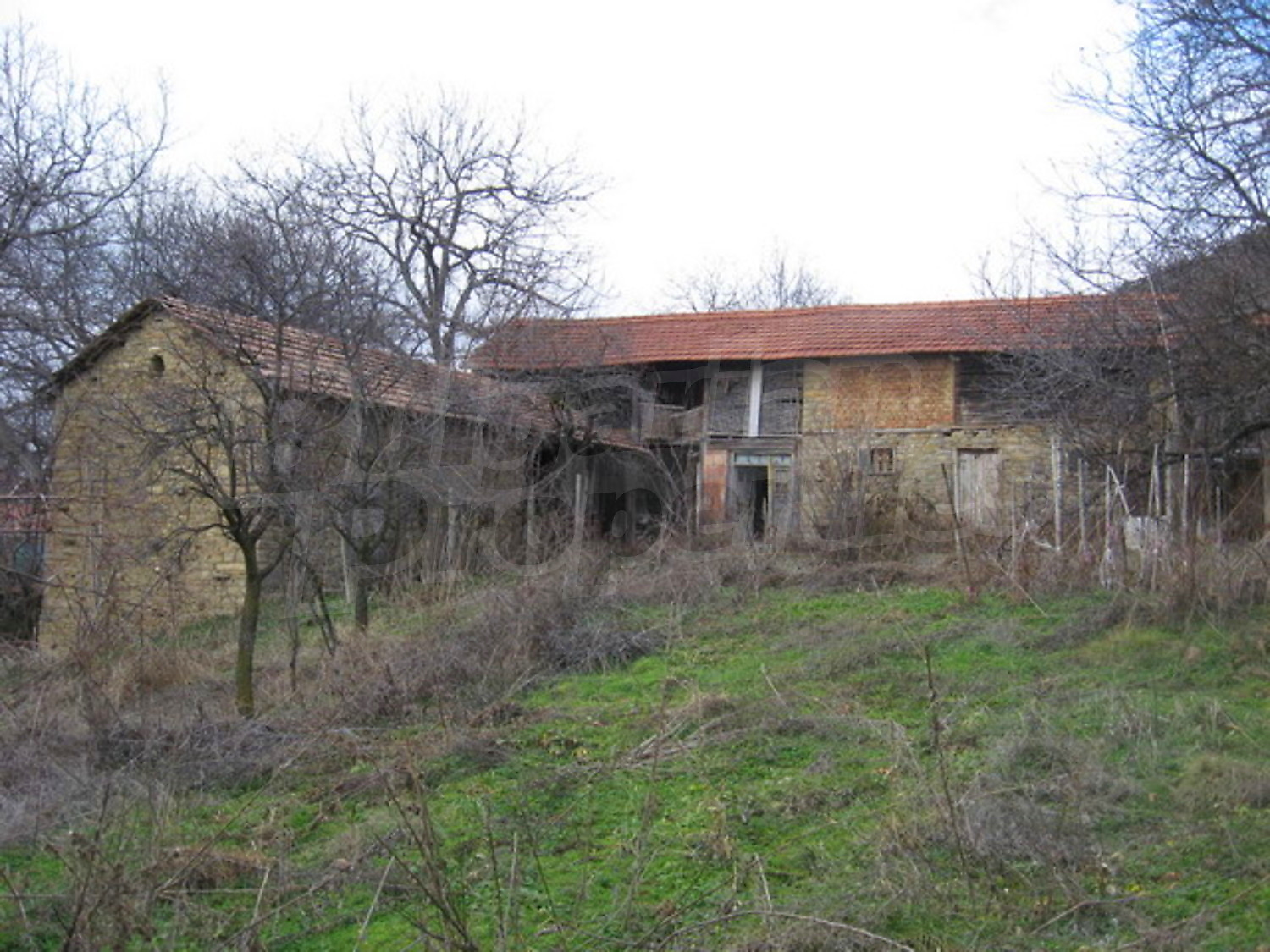 Gallery Picture 13