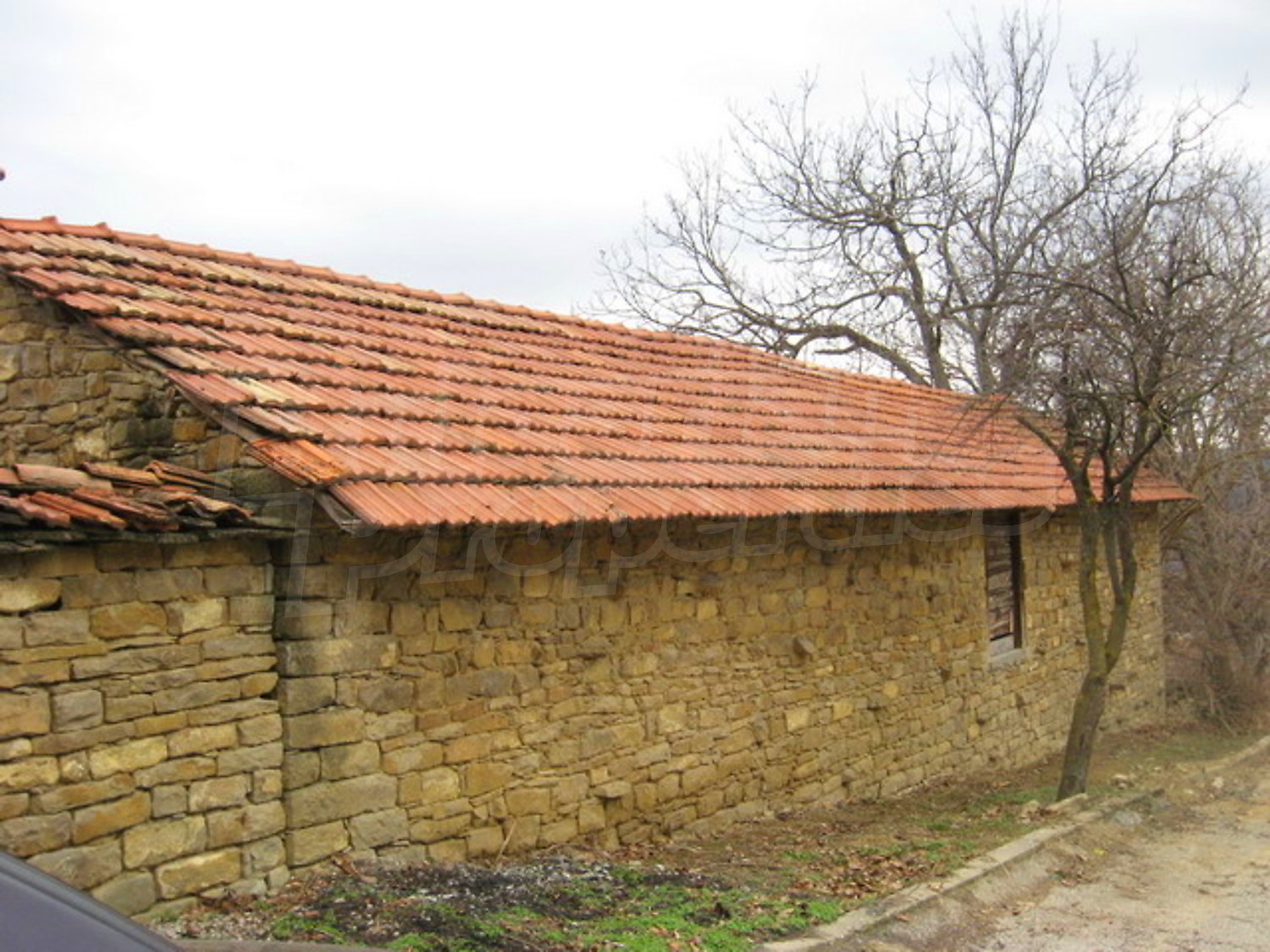 Gallery Picture 14