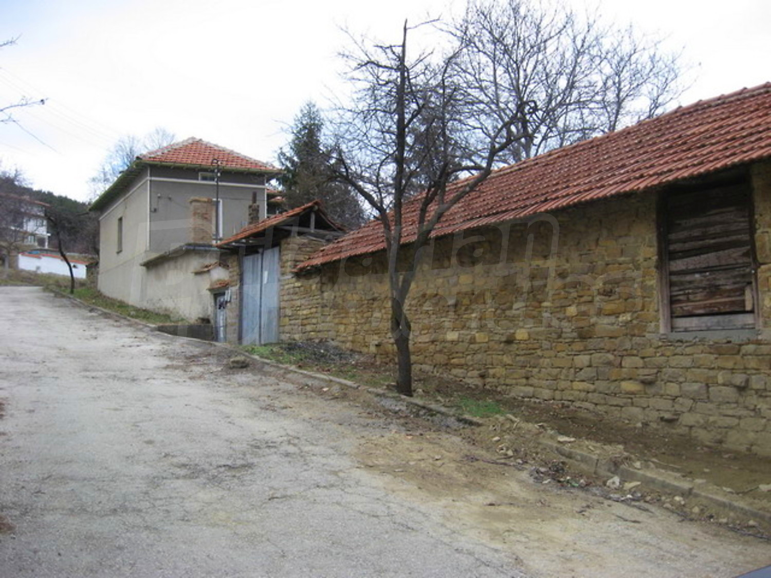 Gallery Picture 16