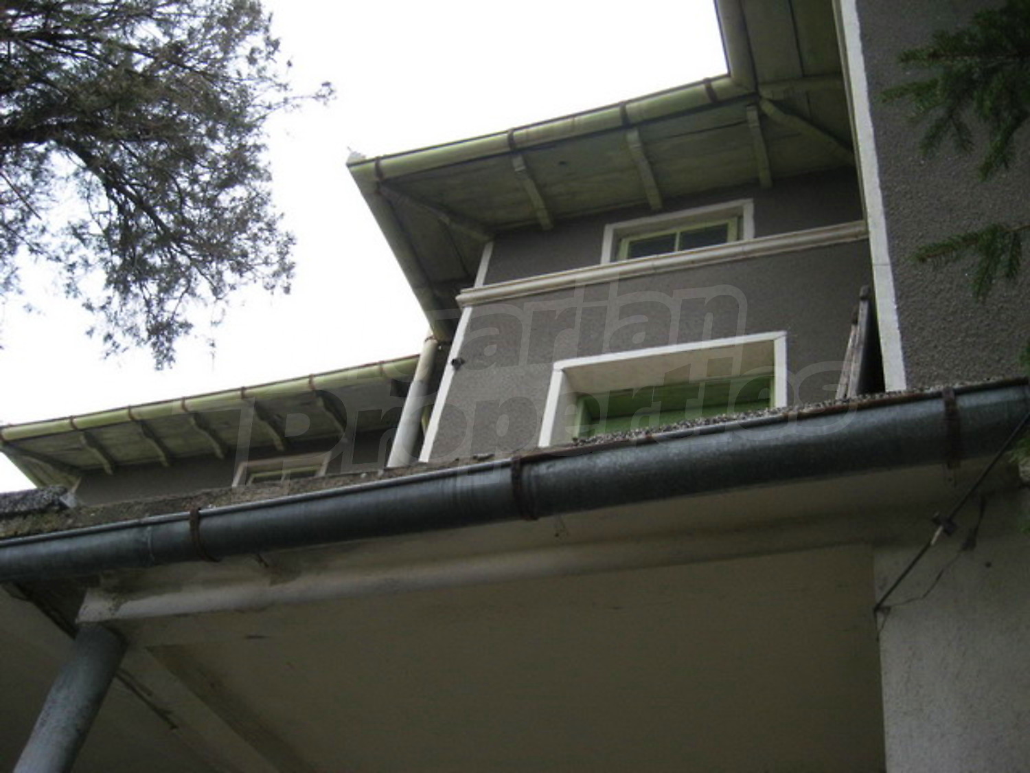 Gallery Picture 9