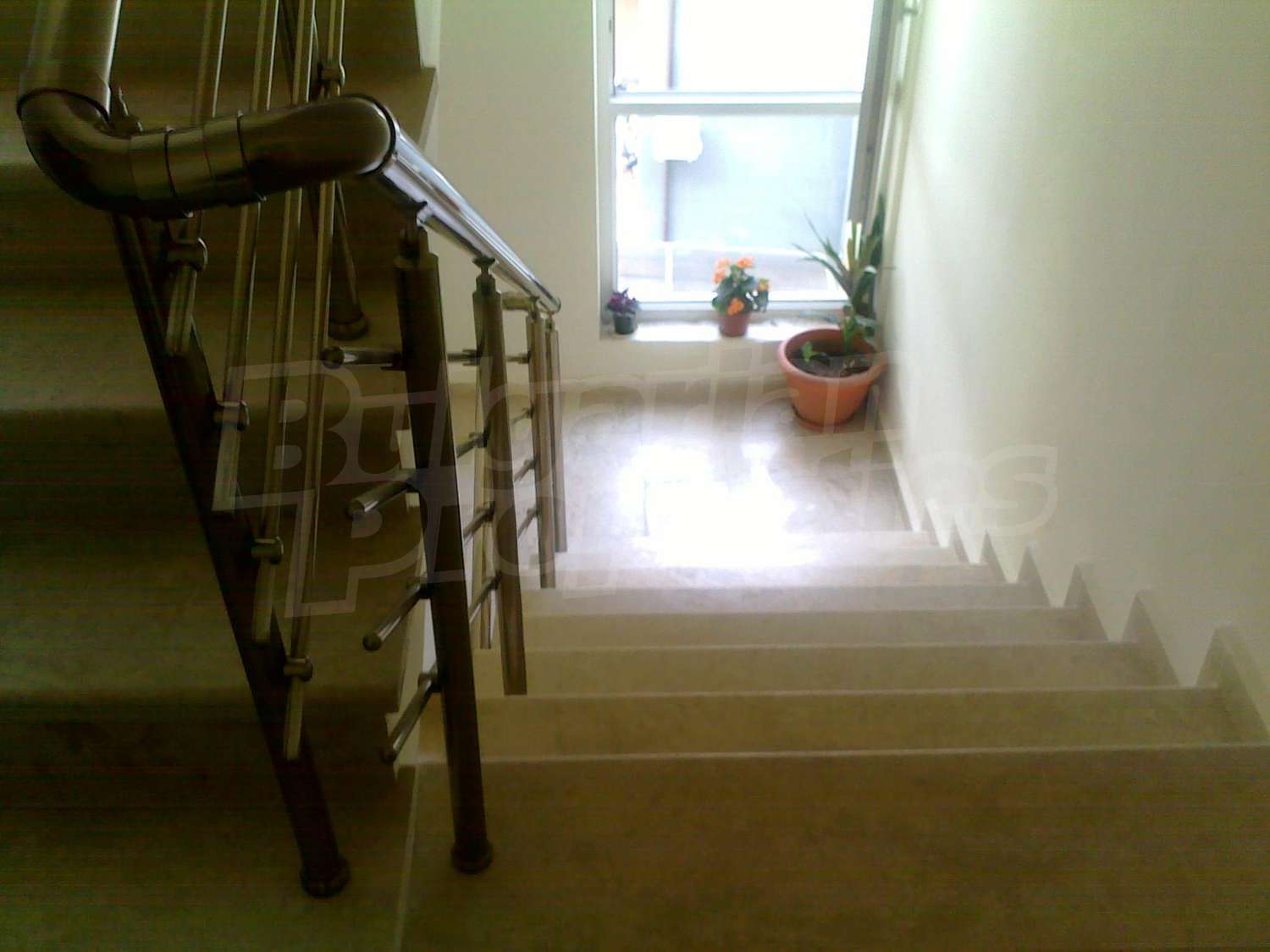 Gallery Picture 9