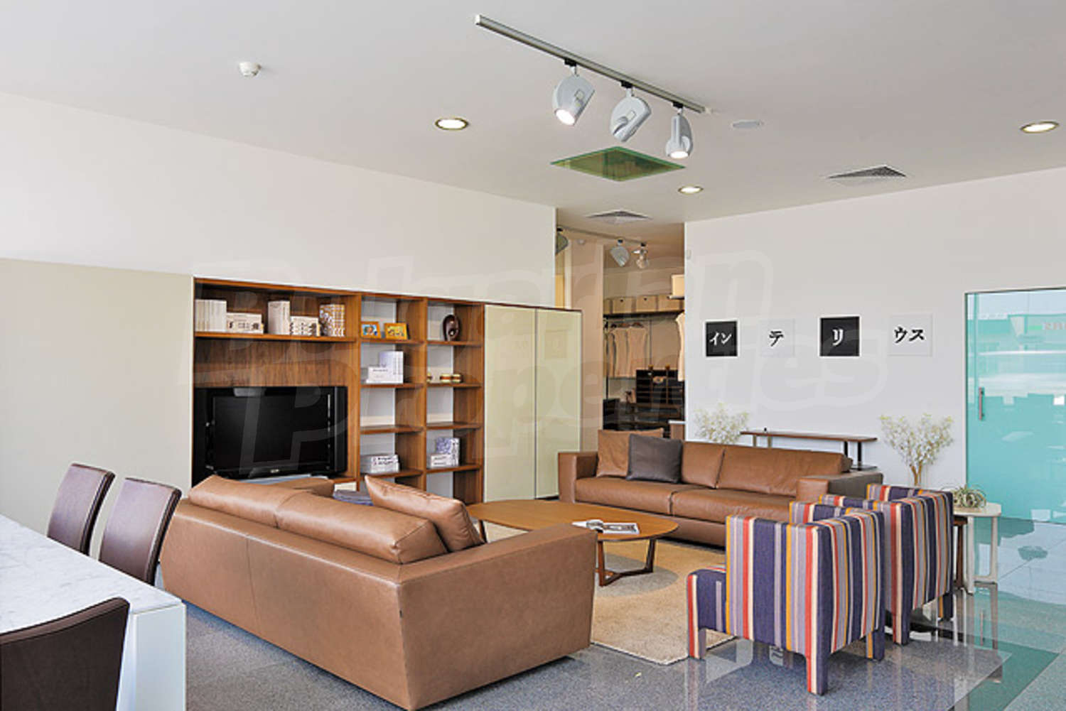 Gallery Picture 30