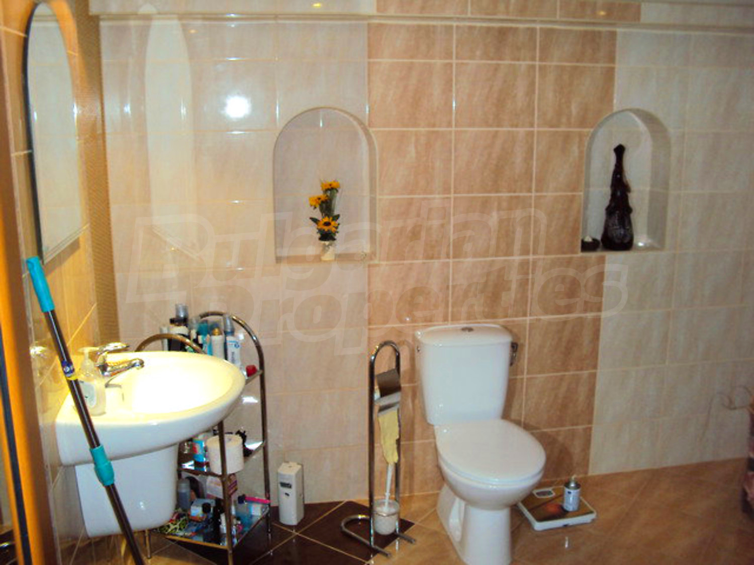 Gallery Picture 35