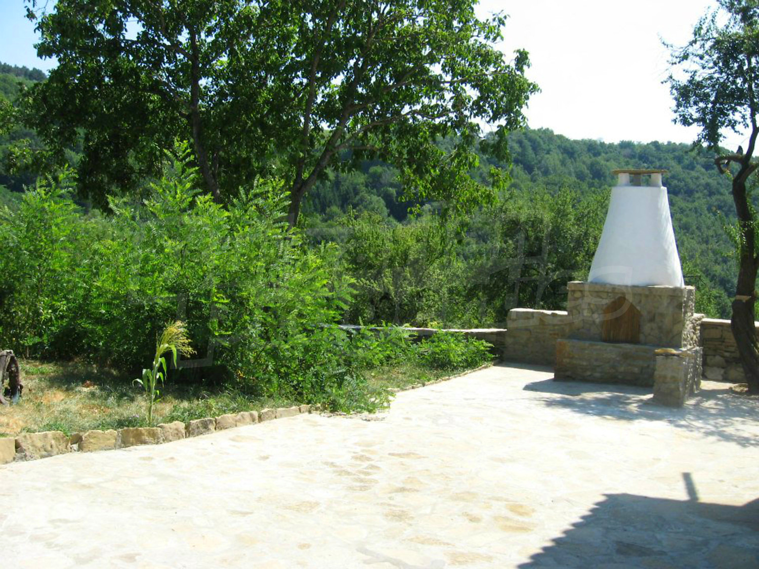 Gallery Picture 26
