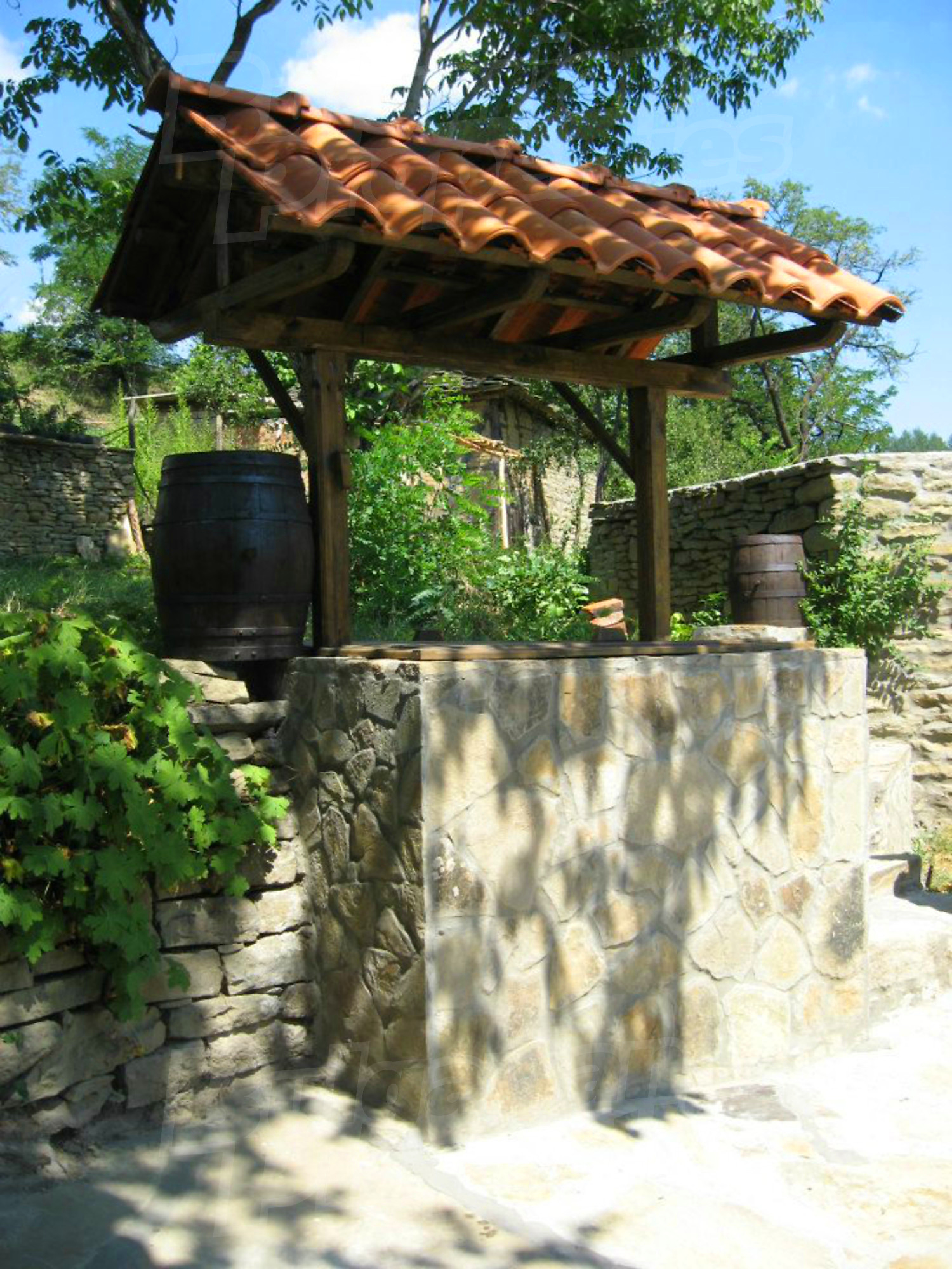 Gallery Picture 27