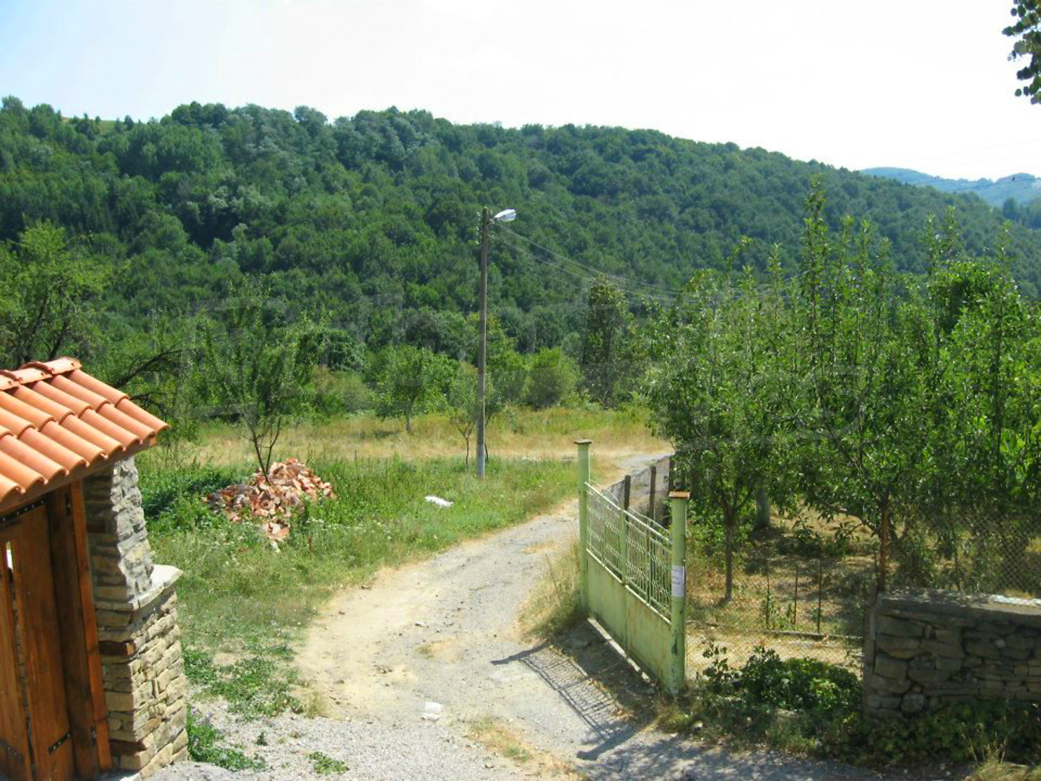 Gallery Picture 28
