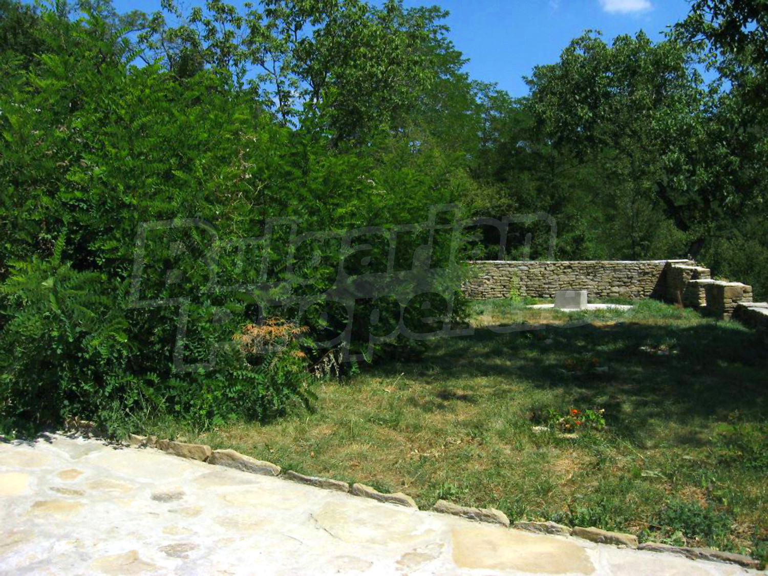 Gallery Picture 33
