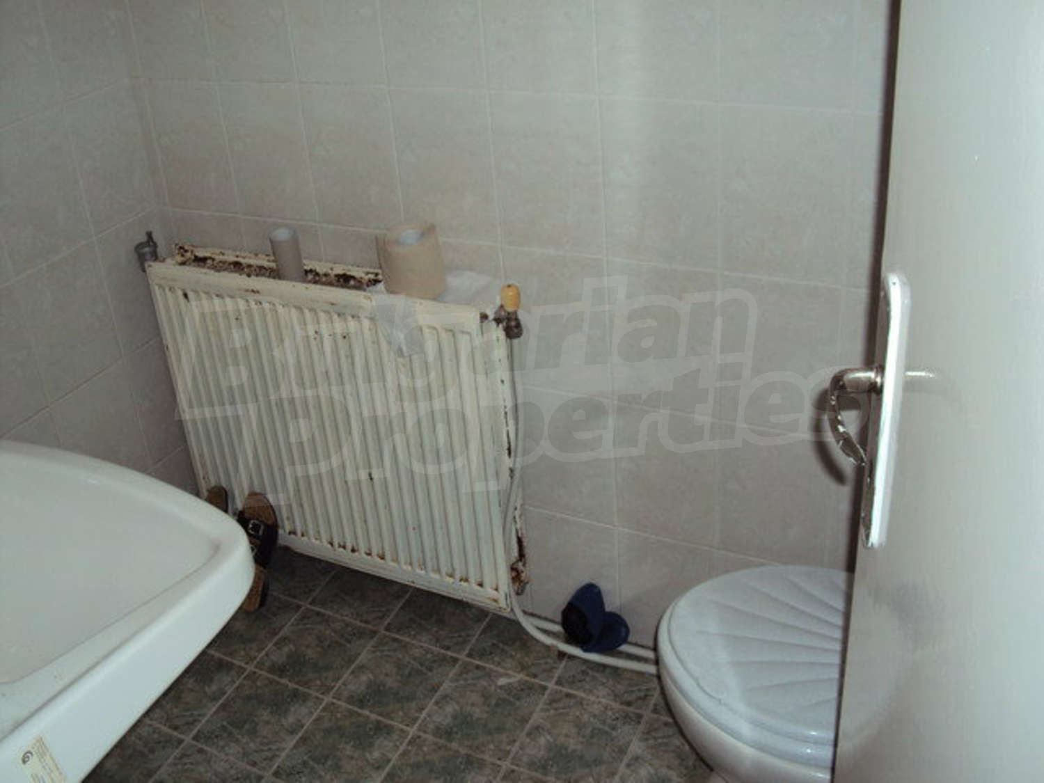 Gallery Picture 31