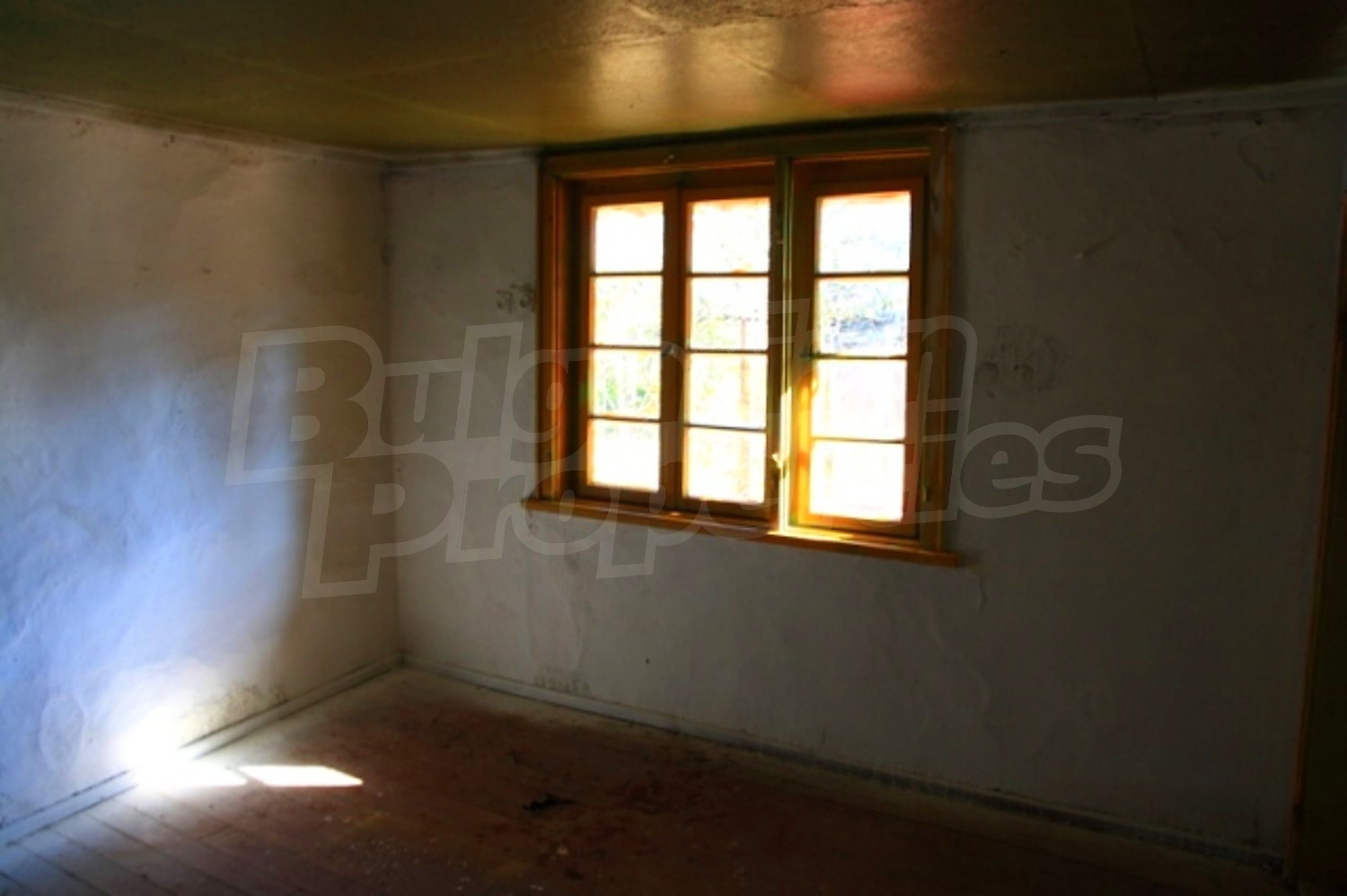 Gallery Picture 6