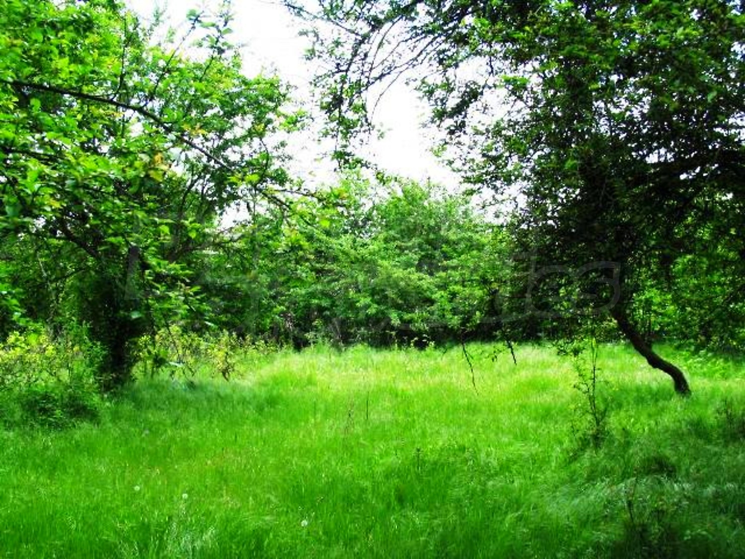 Gallery Picture 27
